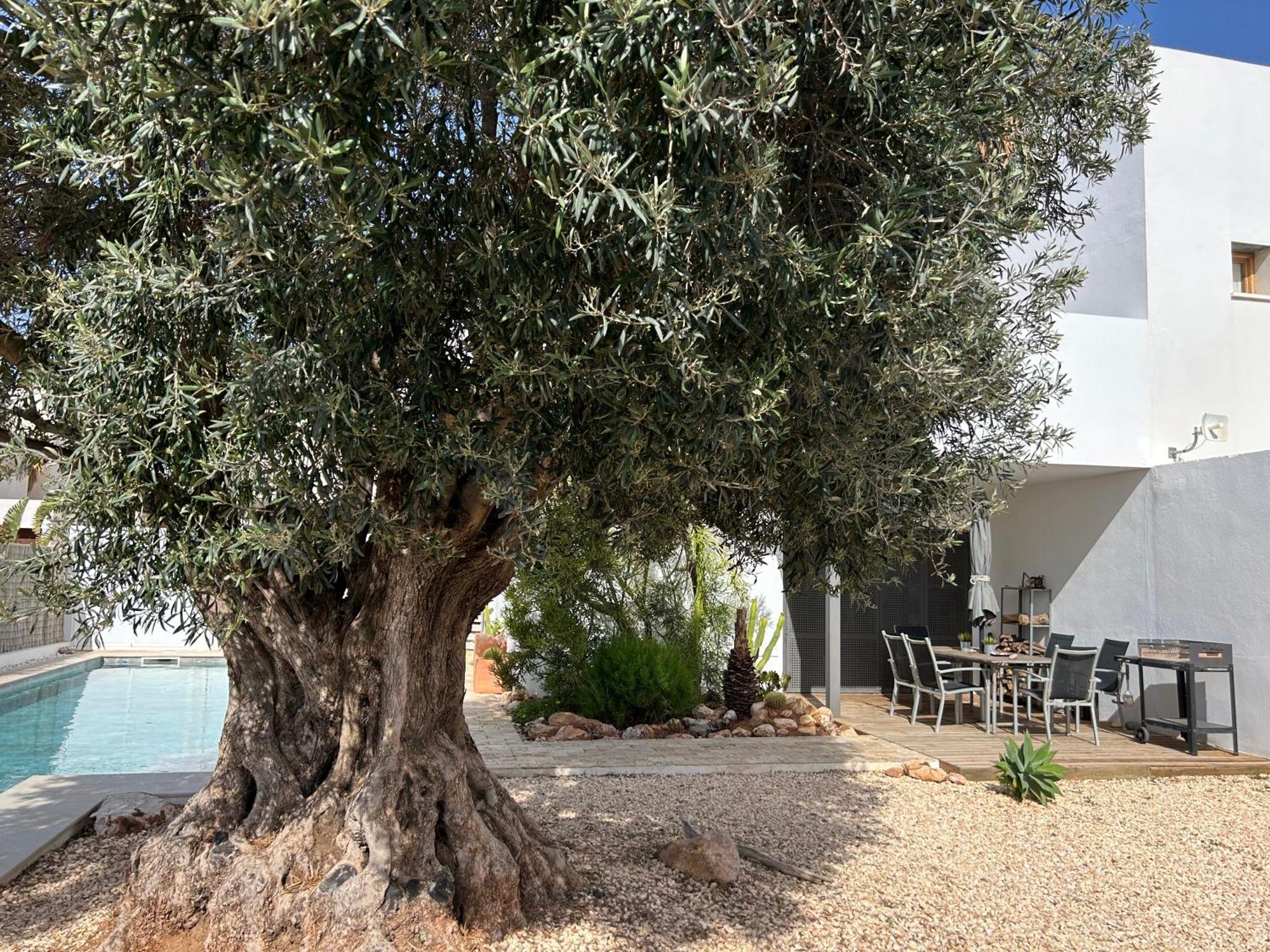 Villa Filon Rodalquilar Extérieur photo